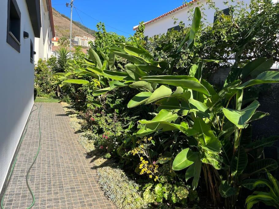 Moradia Com Piscina No Canico Zewnętrze zdjęcie